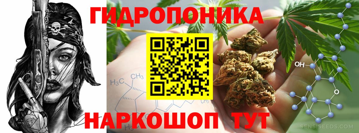Каннабис планчик Бузулук
